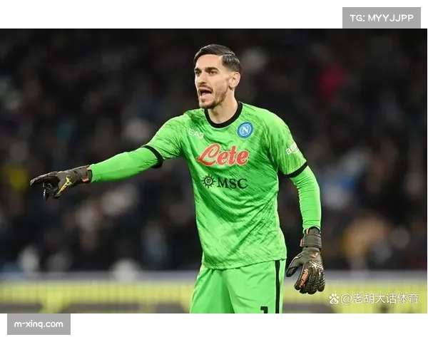 托特纳姆热刺球场宣布完成顶棚光伏板安装,推进绿色运营 托特纳姆热刺球场宣布完成顶棚光伏板安装,推进绿色运营